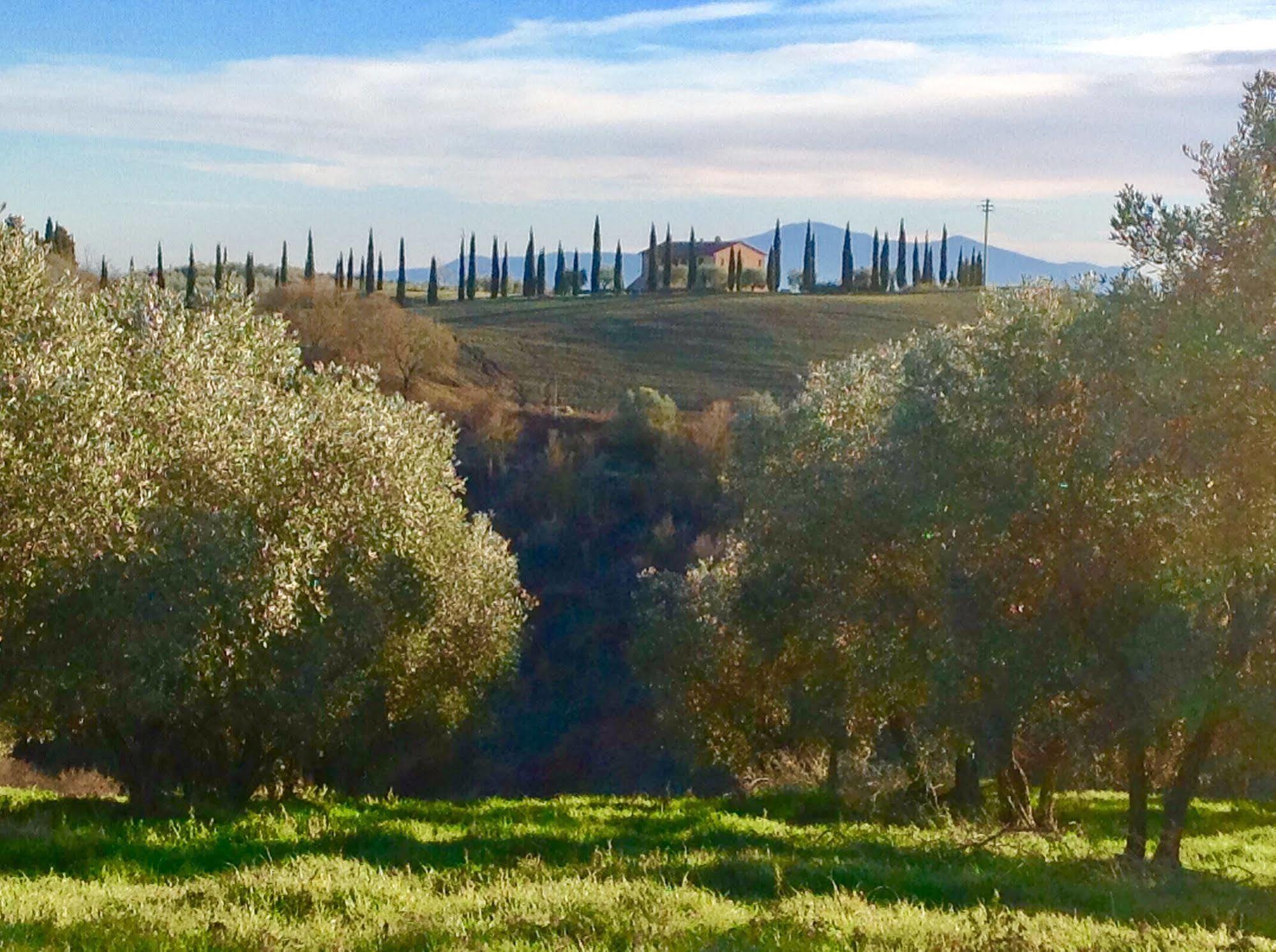Podere Fornaci アッシャーノ エクステリア 写真